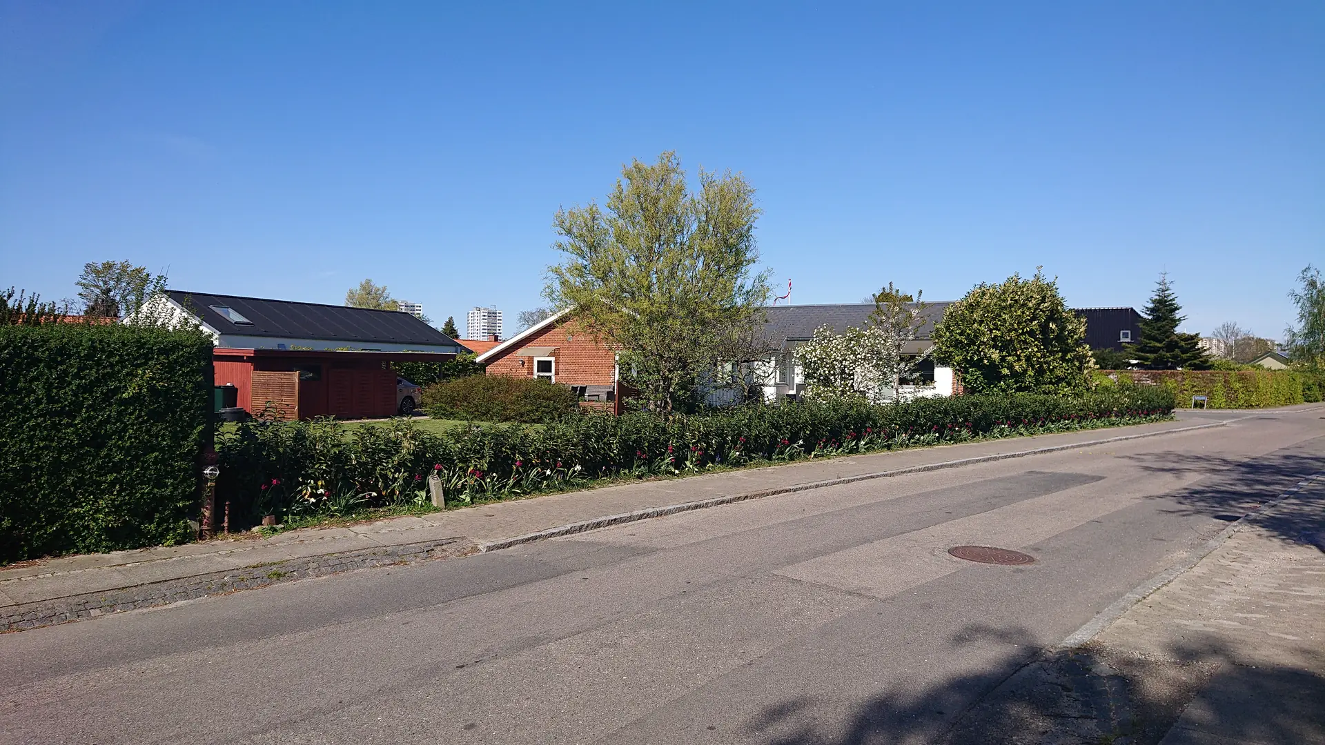 Samme strækning med hæk og bed i fuldt flor
